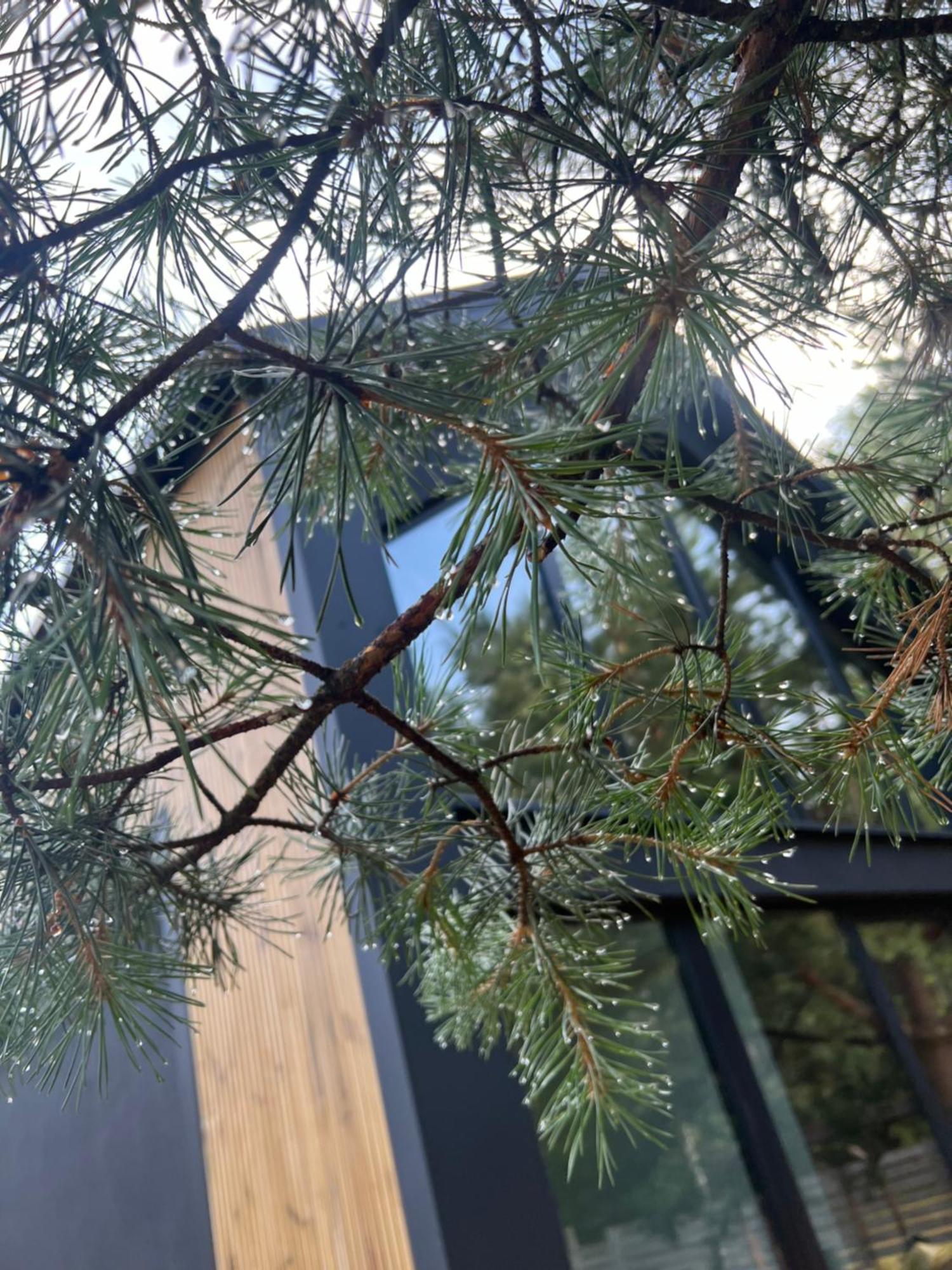 Zakatek Lipowy Most Buitenkant foto
