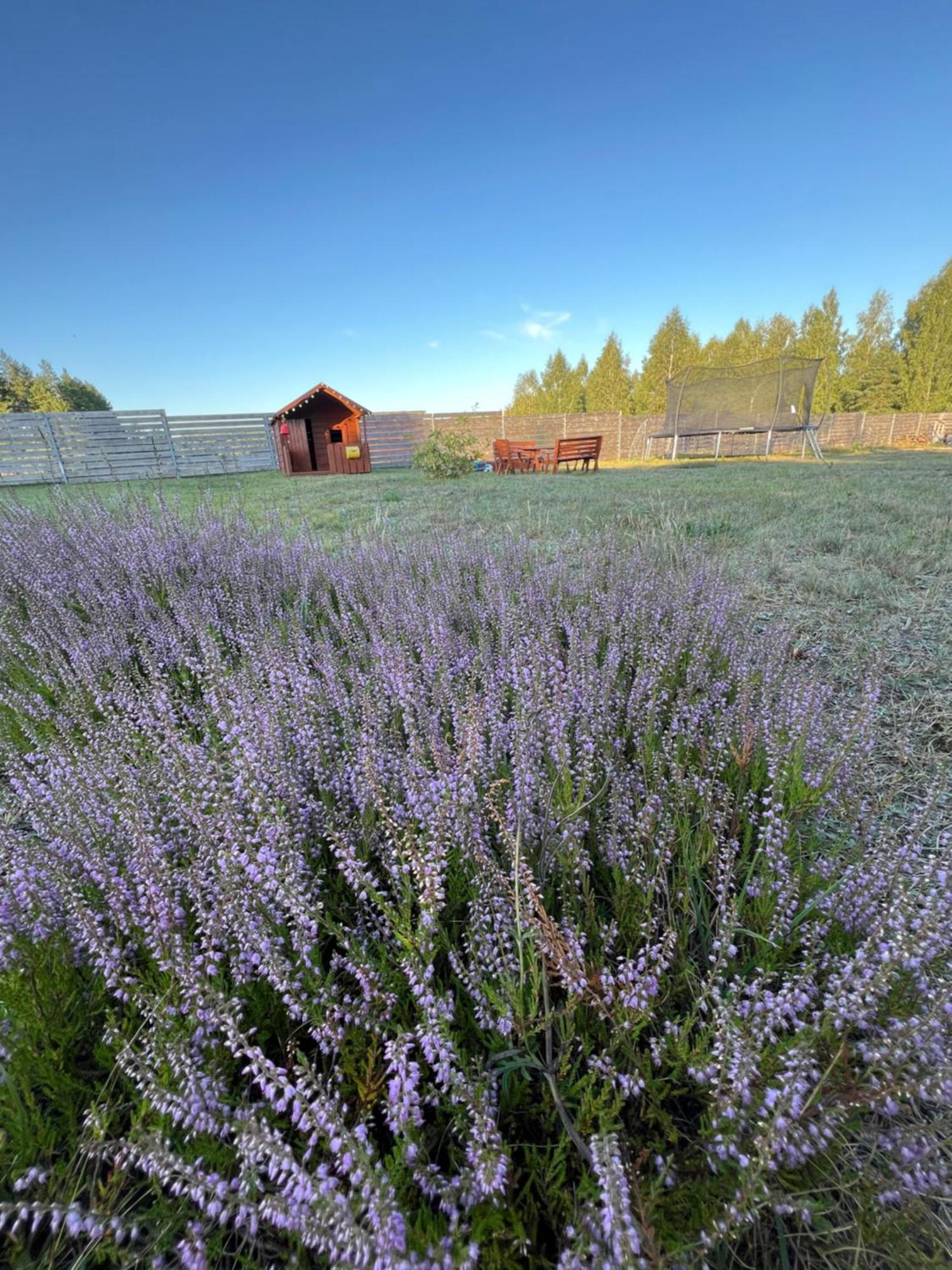 Zakatek Lipowy Most Buitenkant foto